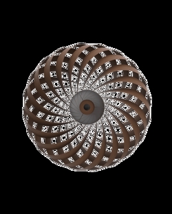 TR5 kinkiet, brzoza/brąz, 60 x 20 cm