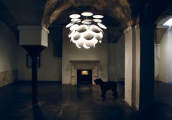 Discoco Giant, biały