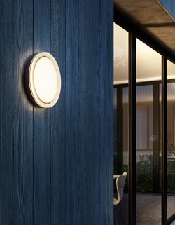 Lisc zewnętrzna lampa ścienna/sufitowa, antracyt