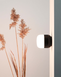 Ohm 100/110 lampa sufitowa / ścienna, czarna/matowa opal