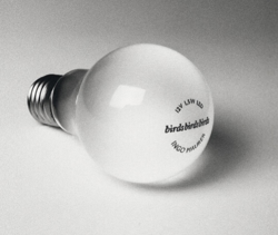 Żarówka LED do serii Ingo Maurer Birdie