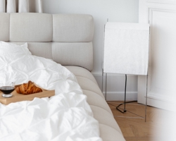 Urządź z Lotek od Hollands Licht