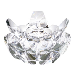 Hope lampa sufitowa D66/12p, transparentna