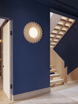 Signature 65 plafon sufitowy / kinkiet, brzoza