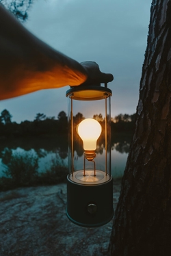 Tala The Muse Portable lampa stołowa, pleasure garden