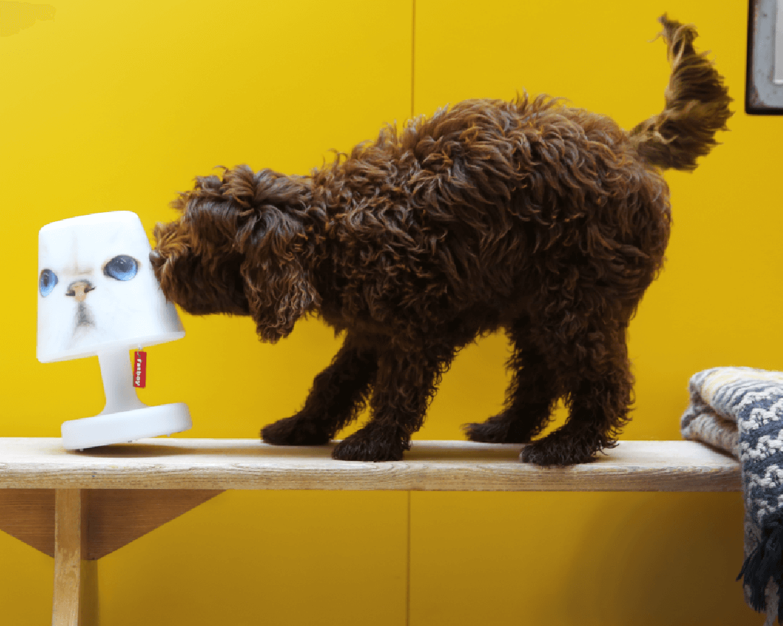 Ubierz swoją Edison the Petit w Copper Cappie | Kup ekran Fatboy w Lamper-shop.pl