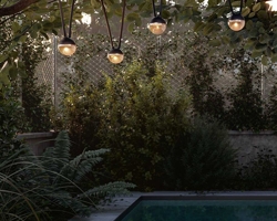 Oświetlenie drzew w Twoim ogrodzie