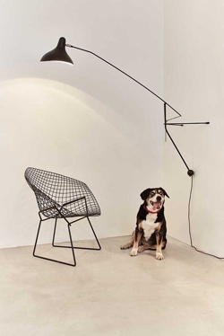 Mantis BS2 kinkiet, czarny