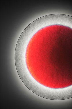 MOODMOON R85 kinkiet