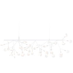 Heracleum III Endless, biały