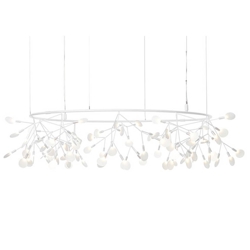 Heracleum III The Big O, biały