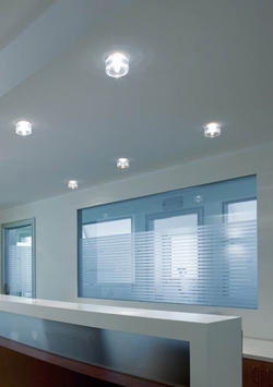 OUTLET: Campy Spot, przezroczysty/chrom